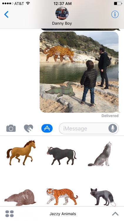 Jazzy World Animals