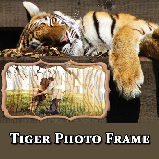 Wild Animal Tiger Photo Frame icon