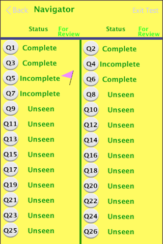 Keystone Lit Practice Test screenshot 4