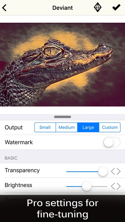 Painnt - Pro Art Filters