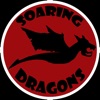 Soaring Dragons
