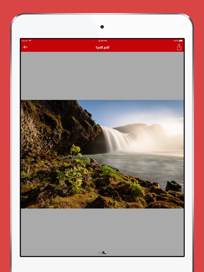 PDF Converter - JPG to PDF