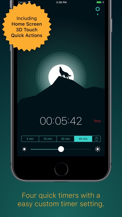 Snoosic - Music Sleep Timer screenshot-3