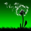 Leaf on the Wind (AppStore Link)