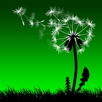 Leaf on the Wind PC 용