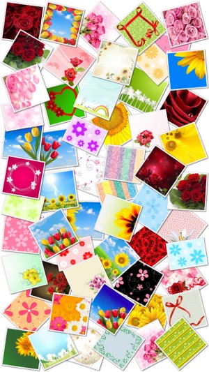 Best Flower Photo Frames(圖2)-速報App