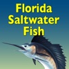 Florida Saltwater Fish Florida Saltwater Fish