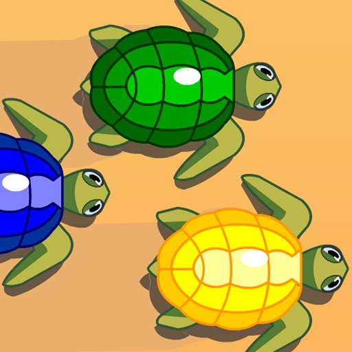 Turtle Dash