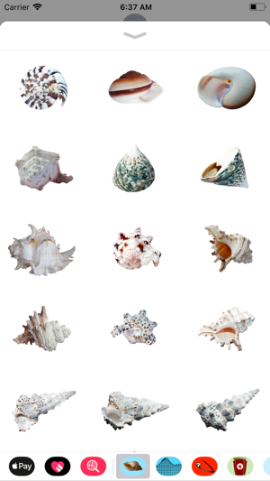 Seashell Stickers(圖4)-速報App