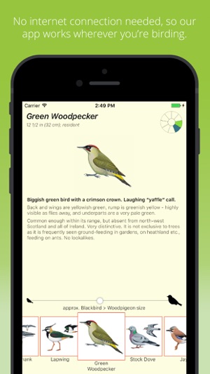 Birds by Colour(圖4)-速報App