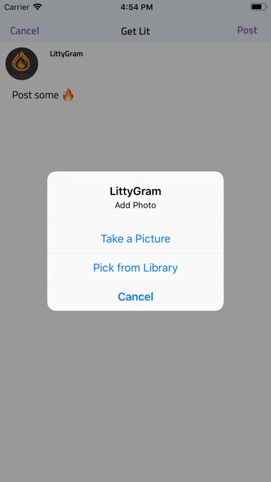 LittyGram screenshot 2