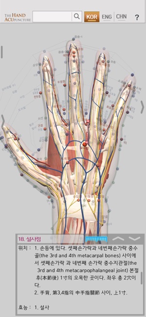 Hand Acupuncture(圖3)-速報App