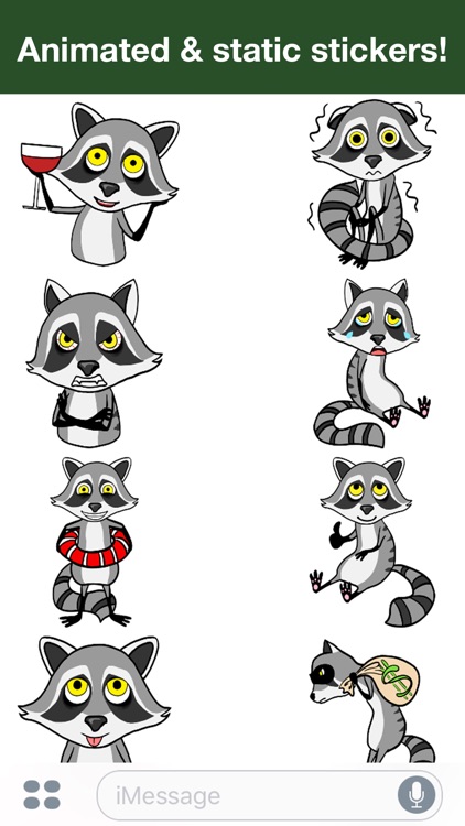 Raccoon - Animated stickers