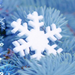 Advent Calendar 24in1