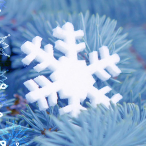 Advent Calendar 24in1