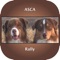 ASCA Rally Obedience for the iPhone has been updated with the new 2018 signs and videos