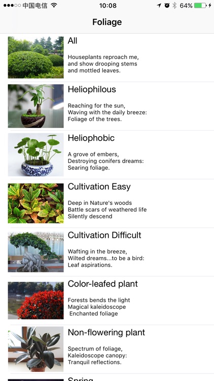 Foliage Plants