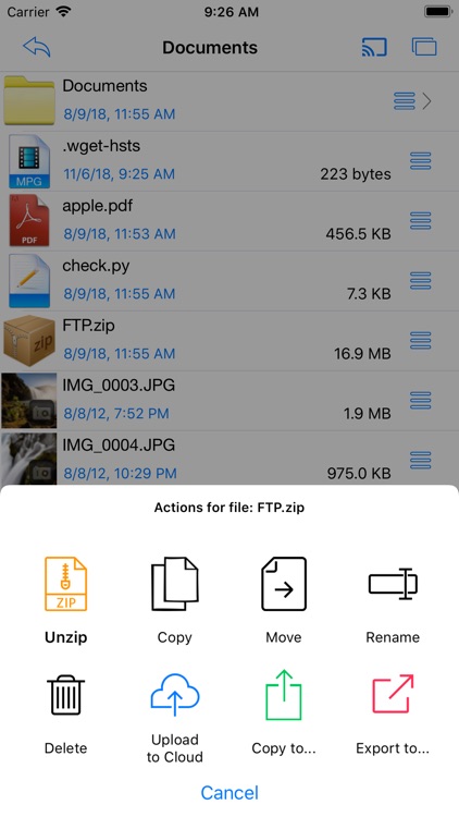 Easy FTP Pro
