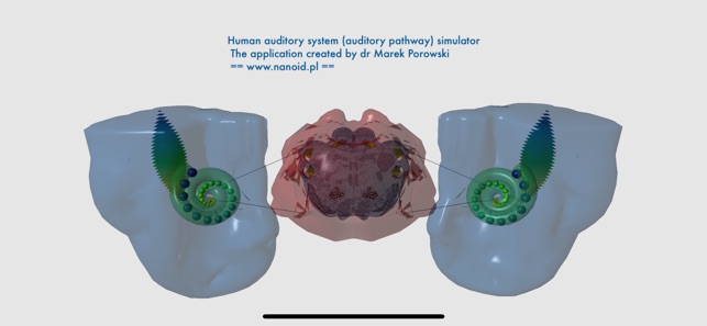 Auditory System Simulator(圖2)-速報App