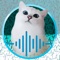 Cat's PhraseBook - a new game with which it became even easier to find a common language with cats