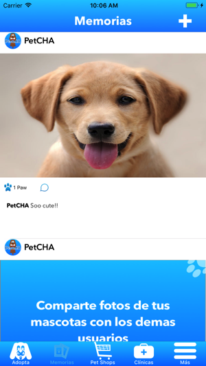 PetCHA(圖2)-速報App