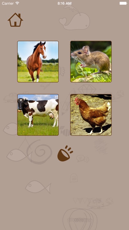 Animals | English screenshot-3