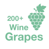 200+ Wine Grapes - En sund arbetsplats i Sverige AB