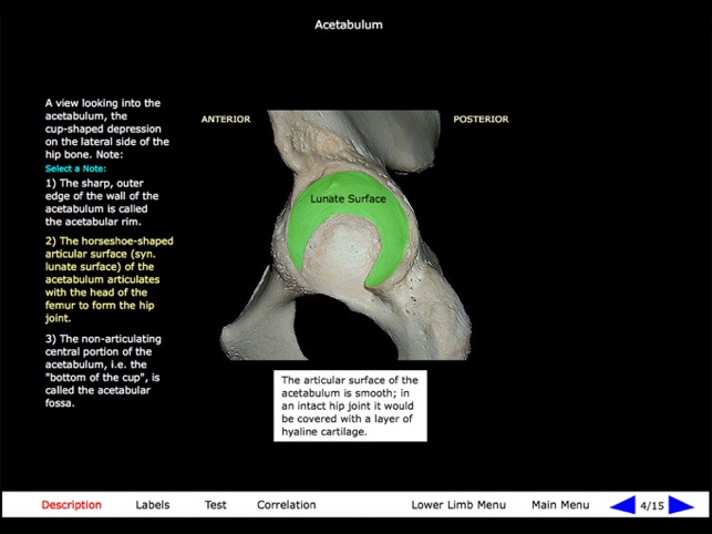 Gross Anatomy of the Skeleton(圖9)-速報App