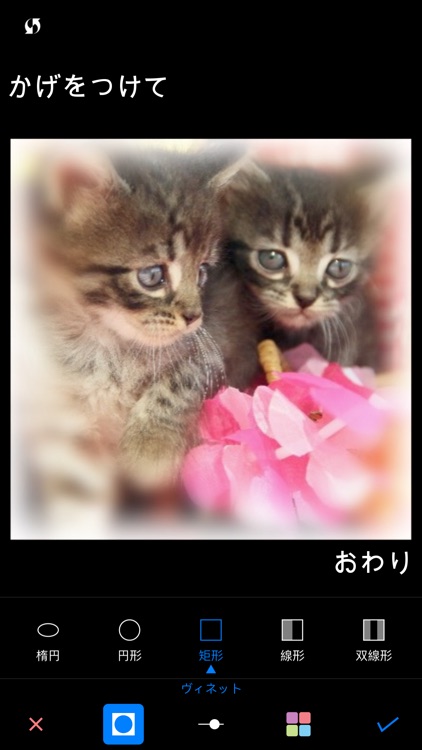 ぼかし++簡単ぼかし&モザイク写真加工アプリ screenshot-3