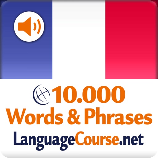 Выучите слова: Французский