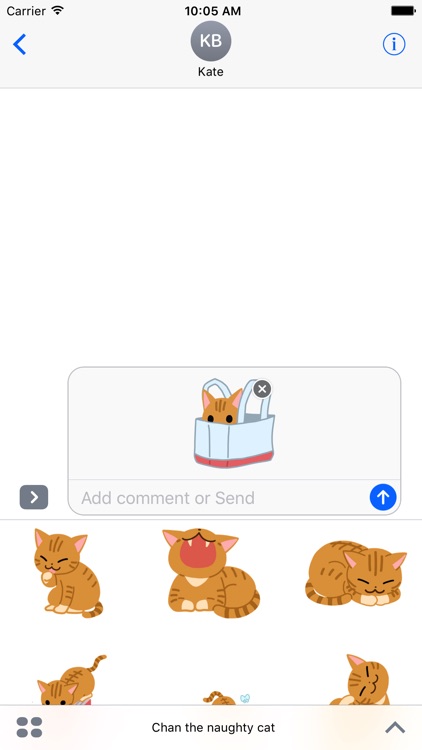Chan the naughty cat