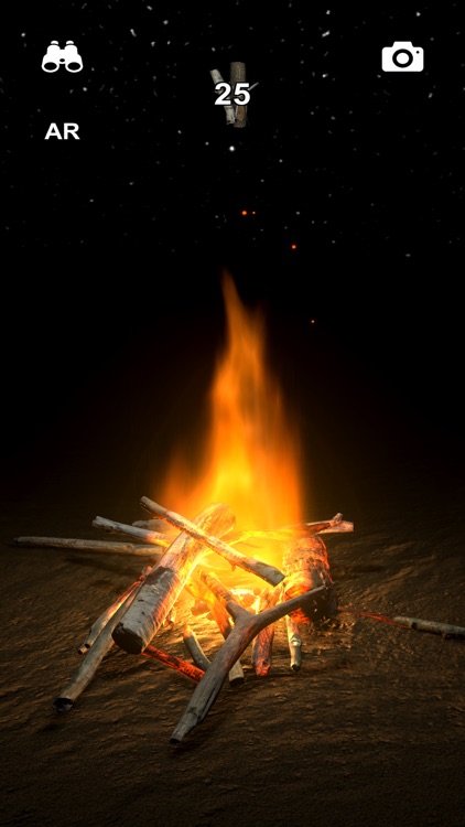 Log Fire