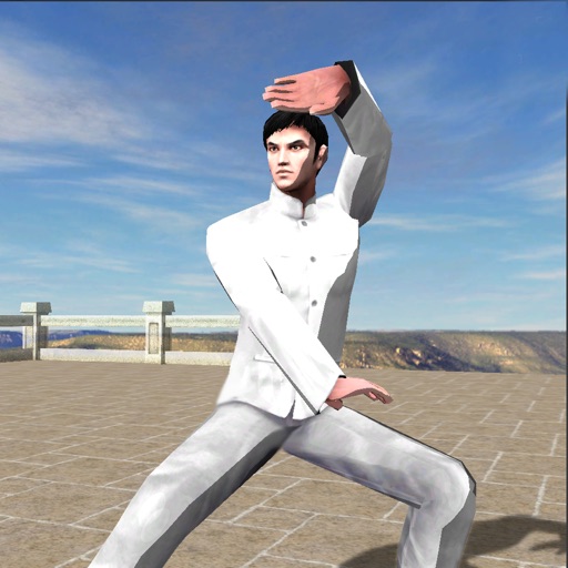 3D Baji Quan