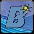 BizWiz Sales App