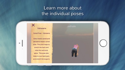 Yoga for Back Pain Relief screenshot 3