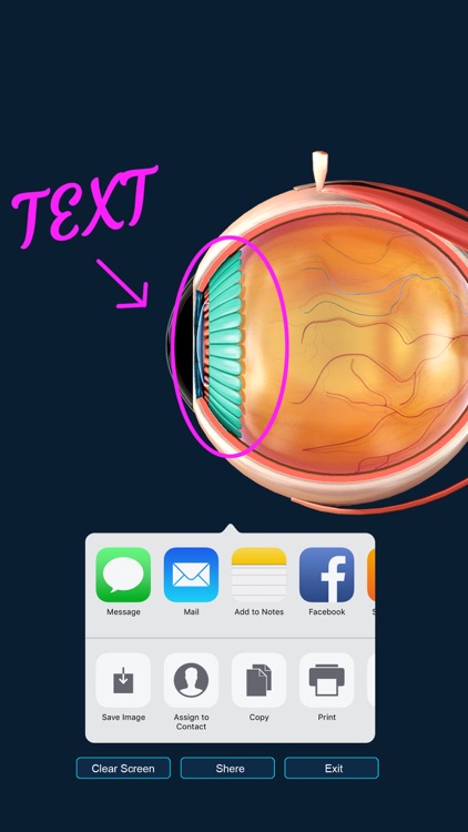 My Eye Anatomy screenshot-4
