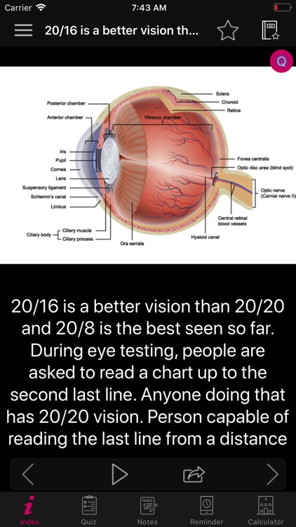 Human Eye Anatomy Fact,Quiz 2k