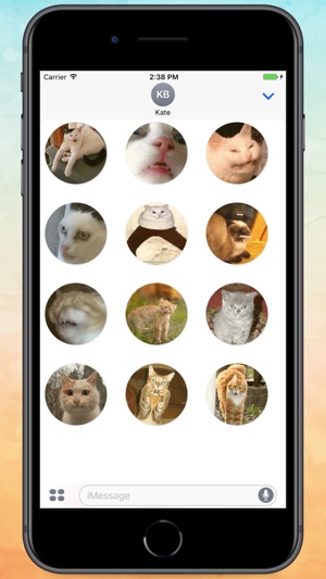 Stupid cats! Stickers(圖2)-速報App