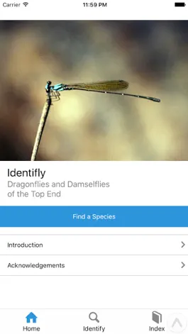 Game screenshot Identifly Dragonfly Guidebook apk