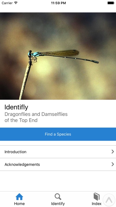 How to cancel & delete Identifly Dragonfly Guidebook from iphone & ipad 2