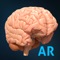 PLEASE NOTE: This app requires a Merge Cube and a smartphone or a tablet to play