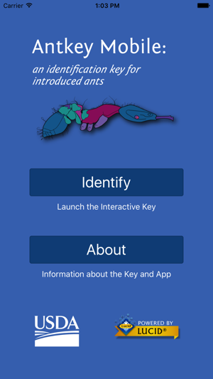 Antkey Mobile(圖1)-速報App