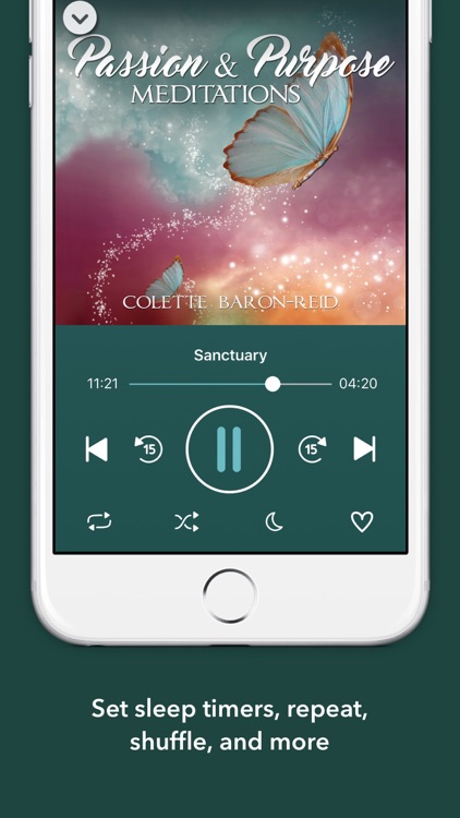 Passion & Purpose Meditations