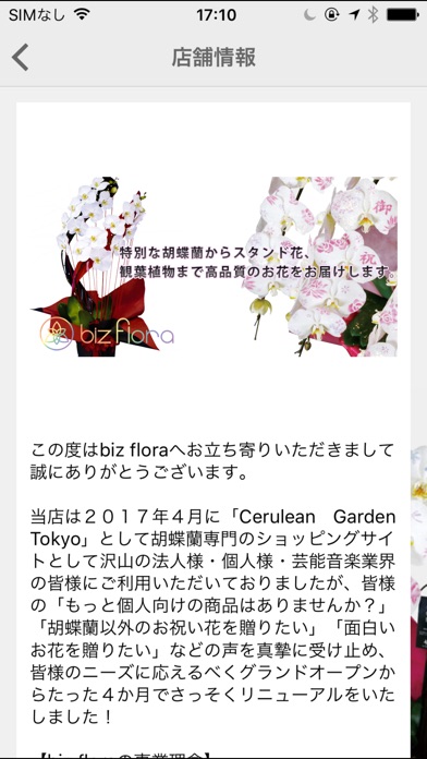 お祝いの花ギフトなら胡蝶蘭biz flora screenshot 2