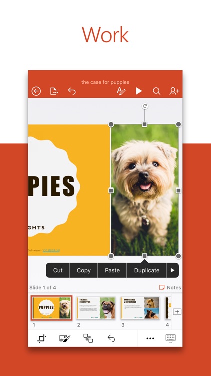 Microsoft PowerPoint