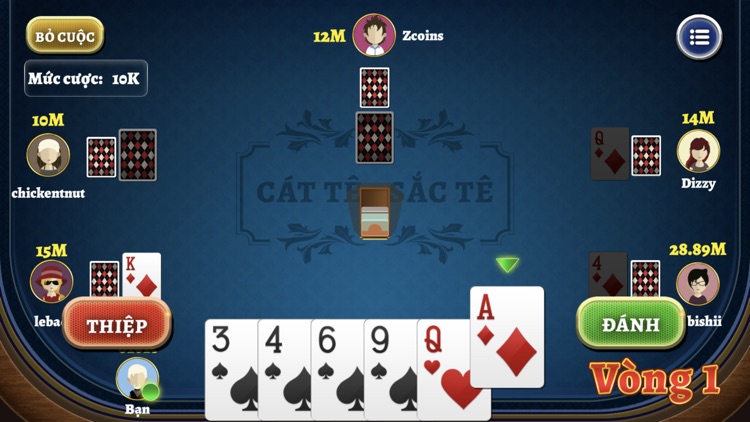 Catte