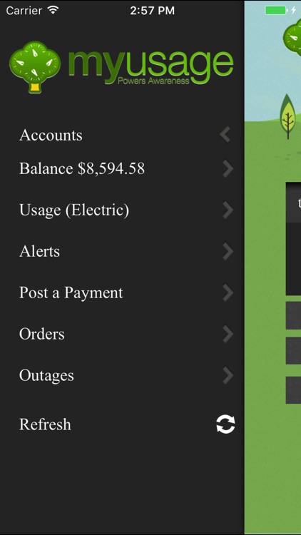 MyUsage Mobile