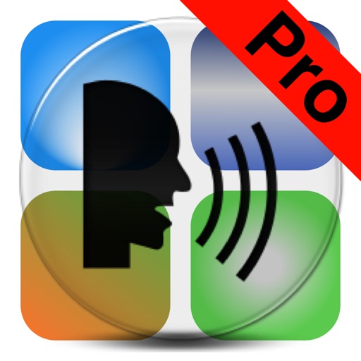 Voice To Text Pro - Dictate messages