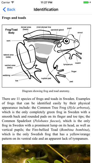 Reptiles and Amphibians of Sweden(圖5)-速報App