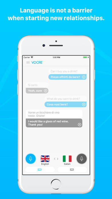 Vocre Translator Free Screenshot 3